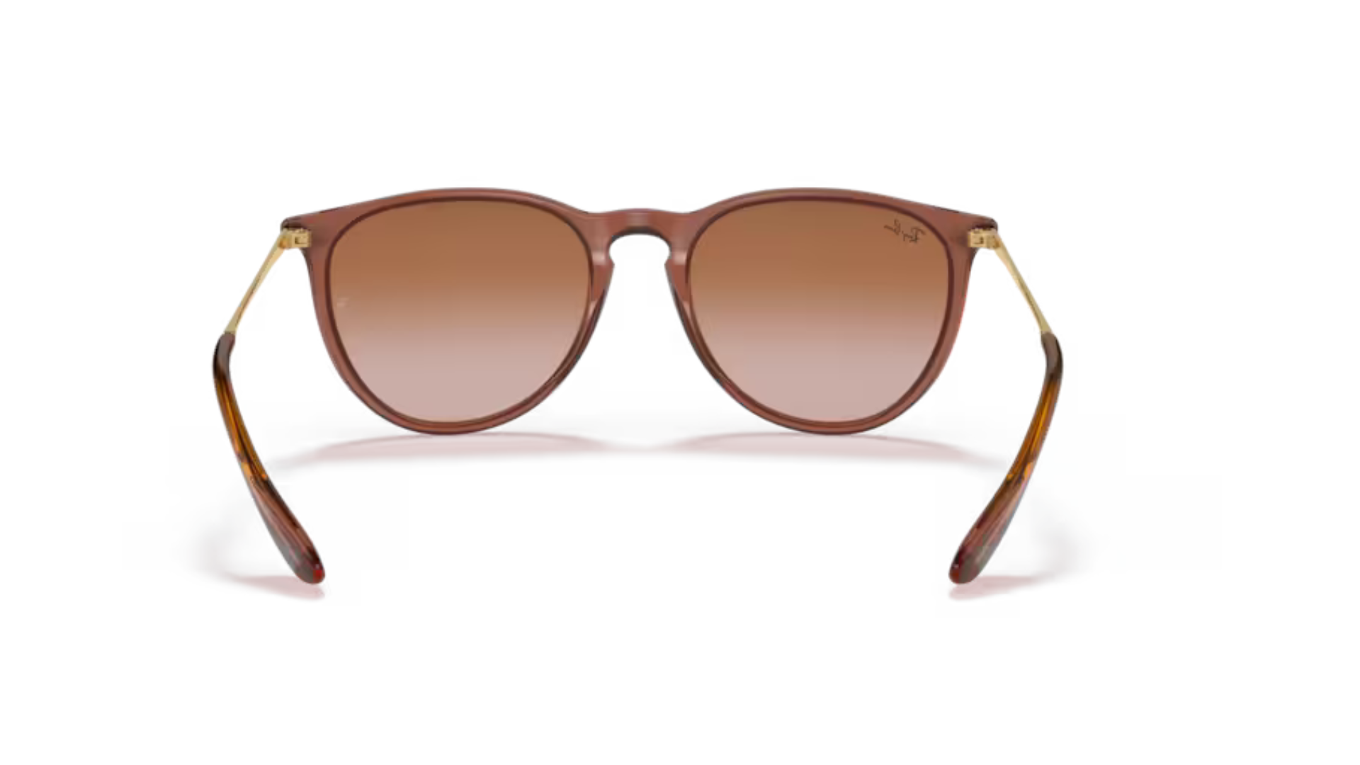 Ray-Ban 4171 Erika